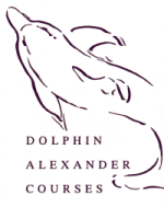 Dolphin Alexander logo